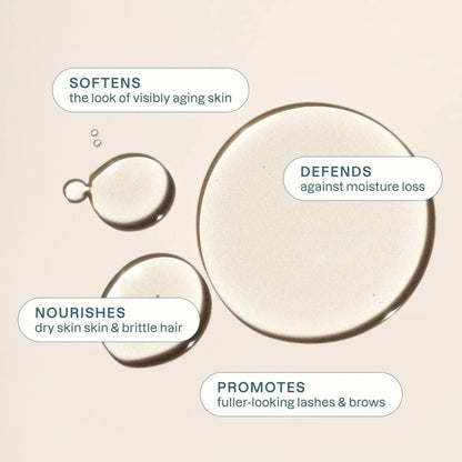 Organic Castor Oil, 100% Pure - For Hair, Skin, Face, Eyelashes & Eyebrows | Natural Cold Pressed Unrefined Hexane-Free (8oz)