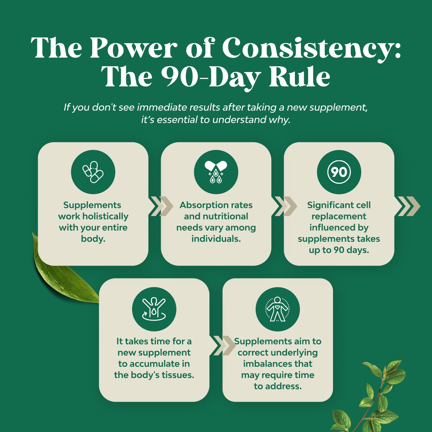 The Power of Consistency: The 90-Day Rule infographic explaining supplement benefits and absorption rates