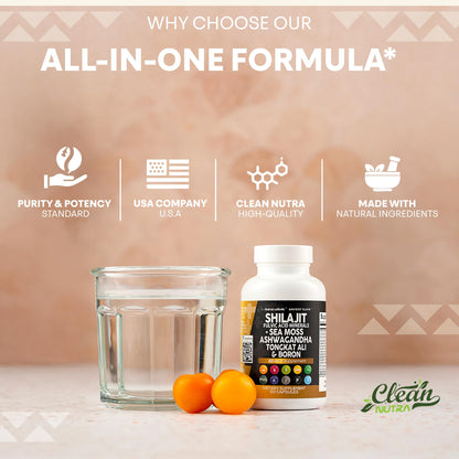 Shilajit Supplement for Men with Sea Moss, Tongkat Ali, Ashwagandha, Boron, Zinc, CoQ10, PQQ - Fulvic Acid Capsules - Energy Support - 90 Count - Resin, Gummy & Powder Alternative