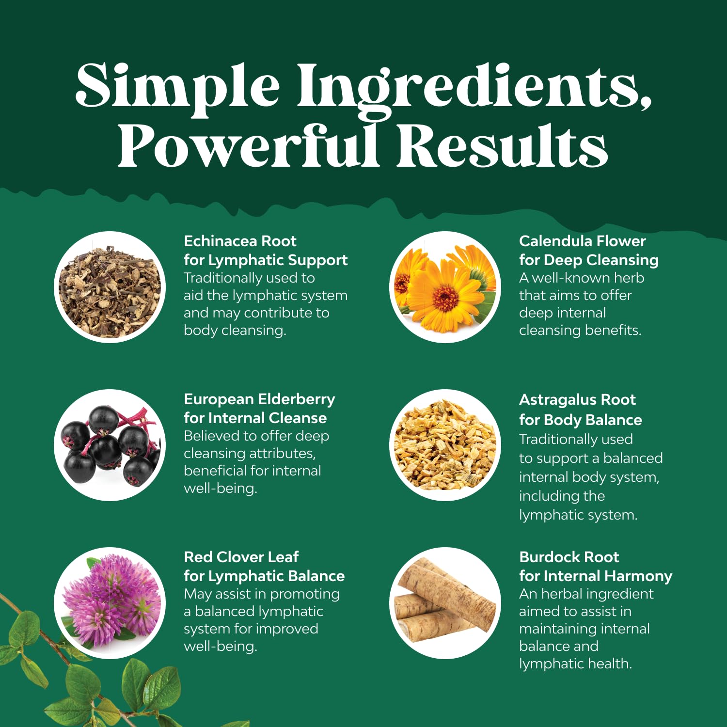 Herbal lymphatic drainage drops ingredients including Echinacea Root and Calendula Flower for immune support.