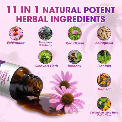 Lymphatic Drainage Drops Supplements for Immune, Lymph System Support, Cleanse & Detox, Liver Health with Echinacea,Elderberry,Cleavers Herb,Burdock, Calendula, Vegan, Non-GMO,Natural Flavor, 2 Fl Oz