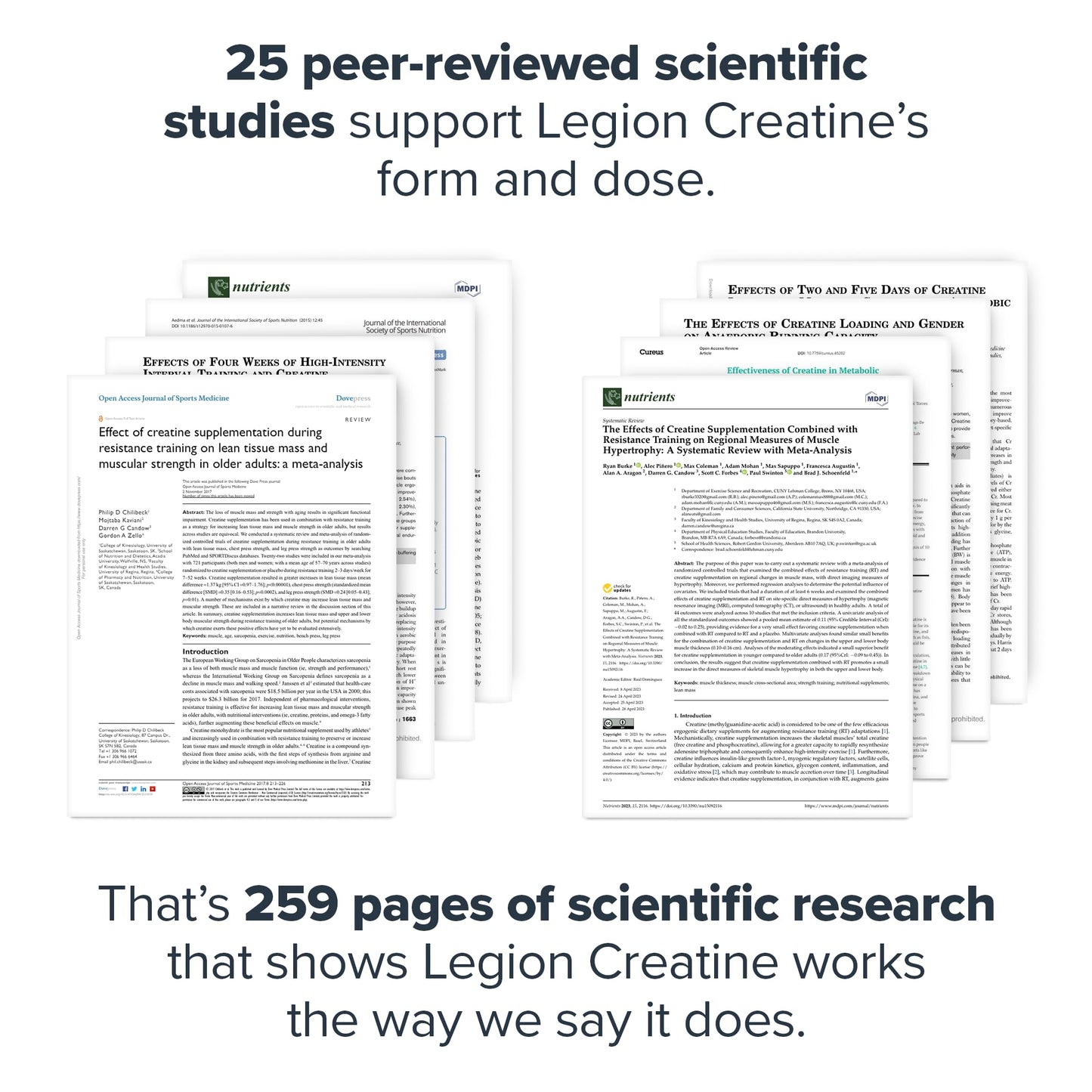LEGION Micronized Creatine Monohydrate Supplement - Clean Creatine Powder for Muscle Gain & Post Workout Recovery - Micronized Creatine Supplement for Maximum Absorption (60 Servings, Unflavored)