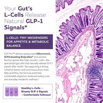 GLP-Pro™: Probiotic & Postbiotic Blend for Natural GLP-1 Support — Akkermansia MucT™, ButyraGen® Butyrate Generator & Spore Bacillus — Healthy Appetite, SCFA & Metabolic Balance — 30 Count